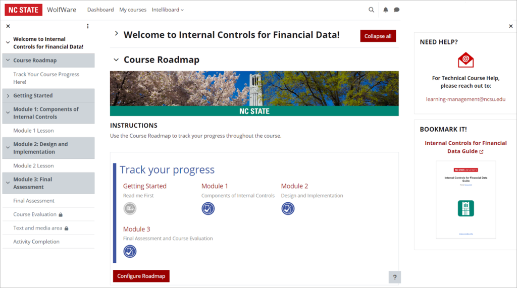 Internal Controls for Financial Data Moodle course home page